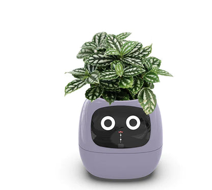 SmartGrow Planter – AI Expressions & Sensors