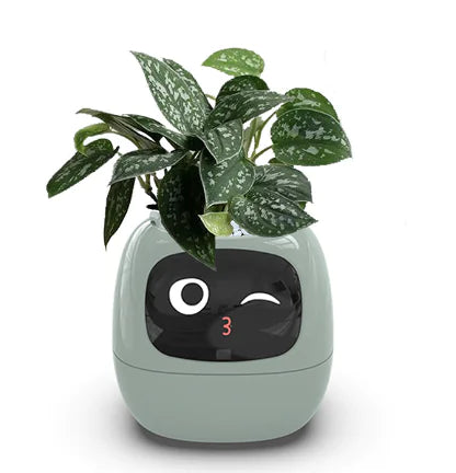 SmartGrow Planter – AI Expressions & Sensors